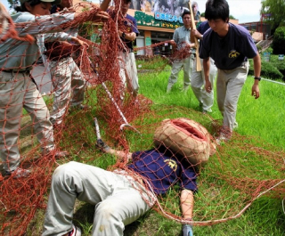 Illustration for article titled When Murderous, Rampaging Animals Are Fake and Look Goofy